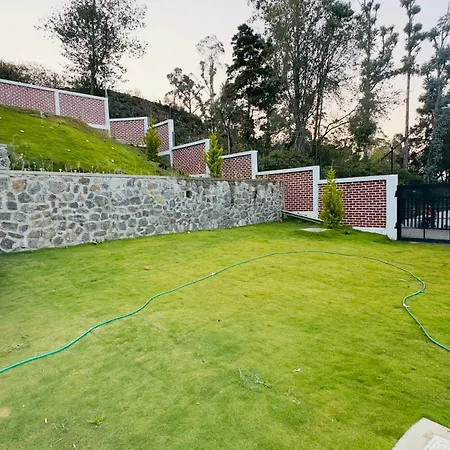 Golden Creeper, Luxe Villa-3